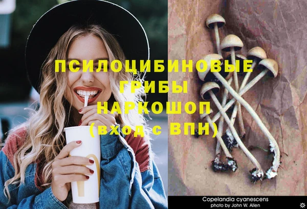 apvp Верея