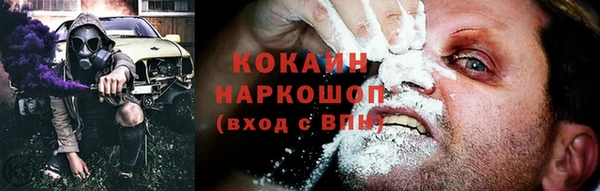 apvp Верея