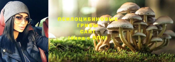 apvp Верея