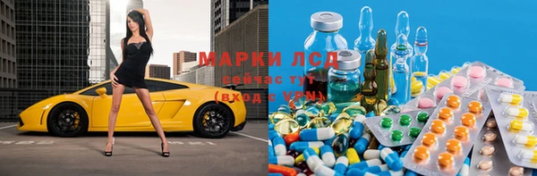 apvp Верея